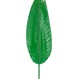 De Kunstblad Strelitzia 110cm is één groot, groen kunstblad met een prominente middennerf en zichtbare zijnerven, afgebeeld tegen een effen witte achtergrond.