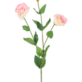 De Kunst Eustoma Real Touch Lichtroze 72cm heeft een enkele groene steel met twee bloeiende lichtroze bloemen en een gesloten knop, omringd door groene bladeren, tegen een effen witte achtergrond.