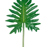 Een Kunstblad Philodendron 68cm, met een groot groen tropisch blad met diepe, onregelmatige lobben en een lange centrale steel, wordt getoond tegen een effen witte achtergrond.