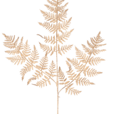 Het Kunsttak Varen 78 cm goud heeft een delicate, gedroogde varentak met dunne, ingewikkelde lichtbruine bladeren in een gedetailleerd kantpatroon, elegant weergegeven tegen een effen witte achtergrond.