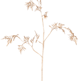 Het Kunsttak Varen Mini 75 cm goud heeft delicate, lichtbruine stengels met dunne, vederlichte blaadjes die zich vertakken tegen een effen witte achtergrond.