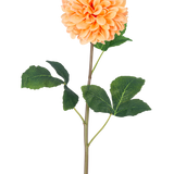 De Kunstbloem Dahlia Real Touch Perzik 73 cm heeft een enkele perzikoranje dahlia met veel bloemblaadjes op een lange groene steel en verschillende grote groene bladeren met textuur, tegen een effen witte achtergrond.