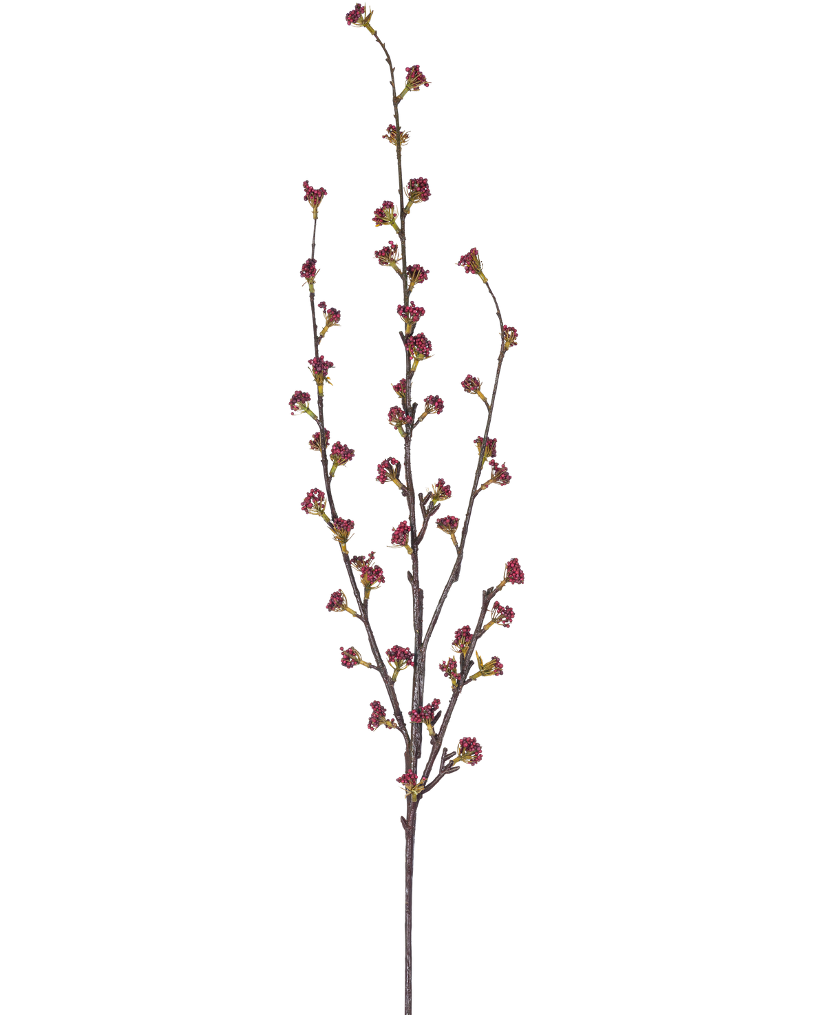 De Kunsttak Callicarpa 104 cm paars heeft slanke takken met meerdere dunne stelen, elk versierd met kleine trosjes dieppaarse knoppen, tegen een effen witte achtergrond.