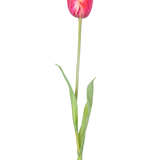 Een enkele Kunstbloem Franse Tulp 60 cm rood met levendige rode bloemblaadjes en groene blaadjes op een steel, tegen een witte achtergrond.
