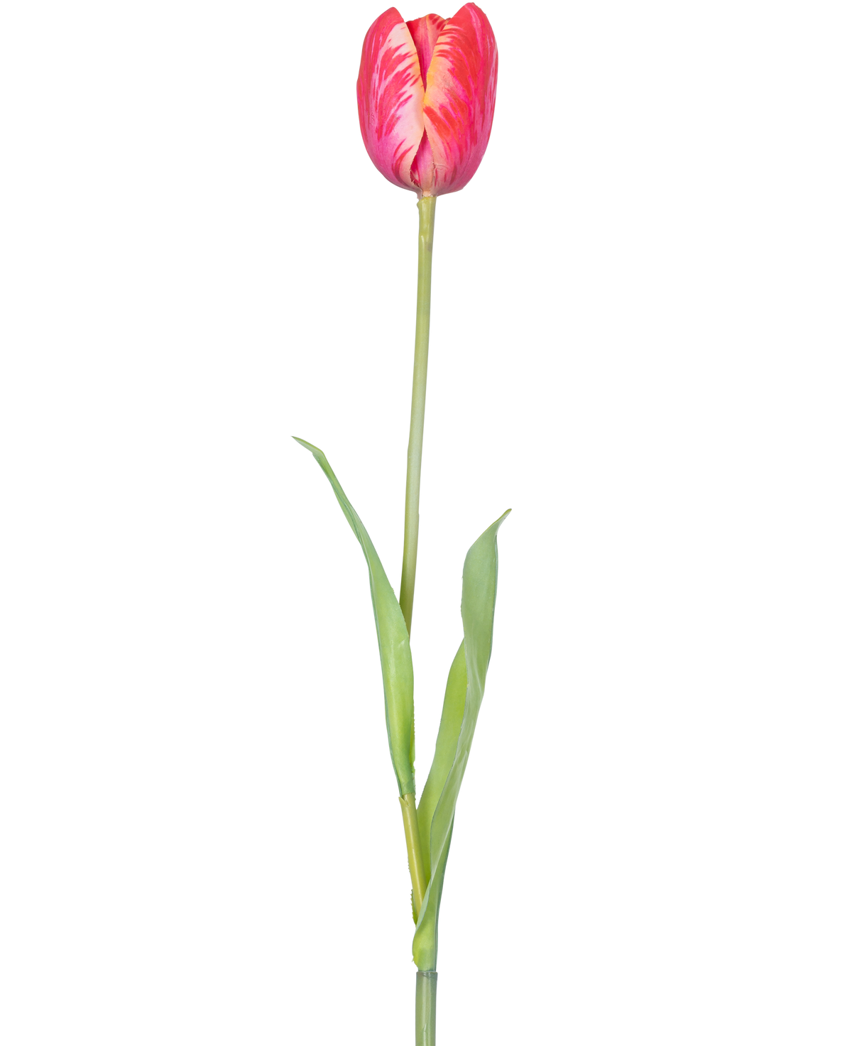 Een enkele Kunstbloem Franse Tulp 60 cm rood met levendige rode bloemblaadjes en groene blaadjes op een steel, tegen een witte achtergrond.