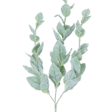 De Kunstbloem Eucalyptus 70 cm is een enkele groene eucalyptus stam met meerdere afgeronde, zachte, bleke, zilverkleurige bladeren tegen een witte achtergrond.