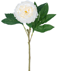 Pivoine artificielle Real Touch Blanche 58cm