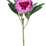 De Kunstbloem Lotus pioenroos Real Touch in paars, 58 cm lang, heeft gelaagde bloembladen, groene bladeren en een lange steel. Afgebeeld tegen een effen witte achtergrond.