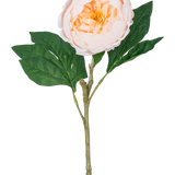 De Kunstpioen Real Touch Crème Wit 58cm heeft een enkele kunstpioenstengel met een grote, witte crèmekleurige bloem en groene bladeren, tegen een witte achtergrond.
