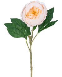 Pivoine Artificielle Real Touch Crème Blanc 58cm