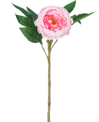 Pivoine artificielle Real Touch Rose 58cm