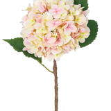 De Kunstbloem Hortensia Real Touch Roze 58 cm is een enkele kunsthortensiastengel met zachtroze bloemblaadjes en twee grote groene bladeren, perfect voor decoratie en gepresenteerd tegen een witte achtergrond.