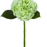 De Kunsthortensia "Annabelle" Real Touch Groen 55cm heeft een enkele lichtgroene hortensiabloem met een ronde tros, twee donkergroene bladeren en een lange steel, allemaal geïsoleerd op een witte achtergrond.