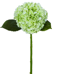 Hortensia artificiel 