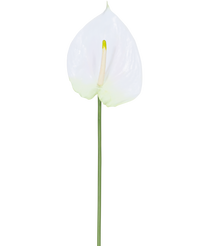 Fleur artificielle Anthurium 68 cm blanc