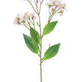 Een Kunstbloem Orchidee Real Touch Roze van 50 cm met meerdere trossen lichtroze bloemen en groene bladeren, geïsoleerd op een witte achtergrond.
