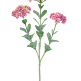 De Kunsttak Sedum 56 cm lichtroze heeft een enkele groene stengel met meerdere takken, elk versierd met trosjes kleine, lichtroze bloemen met afgeronde bloemblaadjes, tegen een witte achtergrond.