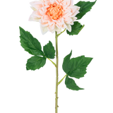 De Kunstbloem Dahlia Real Touch champagne 54 cm heeft een enkele steel met een licht champagne dahlia bloem in volle bloei en groene bladeren, afgebeeld tegen een witte achtergrond.