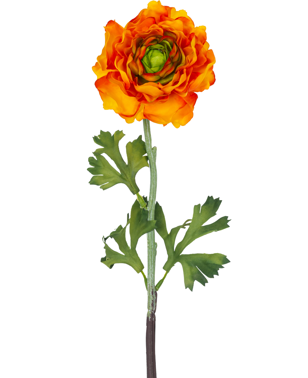 De Kunstbloem Ranonkel 51 cm oranje is een kunst oranje ranonkel bloem met gelaagde bloemblaadjes en groene blaadjes op een lange steel, perfect als decoratief accent.