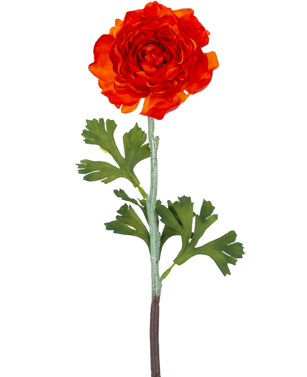 De Kunstbloem Ranonkel 51 cm donker oranje heeft een levendige donker oranje kunst ranonkel bloem met gelaagde bloemblaadjes en groene, gelobde bladeren op een lange steel, tegen een effen witte achtergrond.