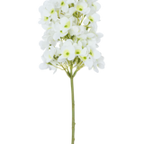 De Kunstbloem Sneeuwbal Real Touch Wit 58 cm heeft een enkele steel met trosjes kleine witte bloemen en lichtgroene hartjes, tegen een effen witte achtergrond.