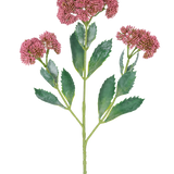 Een digitale illustratie van de Kunsttak Sedum 48 cm rood toont een bloeiende plant met groene bladeren en trossen kleine, roze-paarse bloemen op vertakte stengels, tegen een witte achtergrond.
