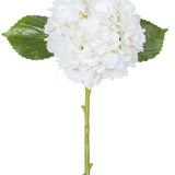 De Kunstbloem Hortensia Real Touch Wit 49 cm heeft een enkele witte hortensia met ronde, volle bloemblaadjes, twee grote groene bladeren en een lange steel, tegen een effen witte achtergrond.