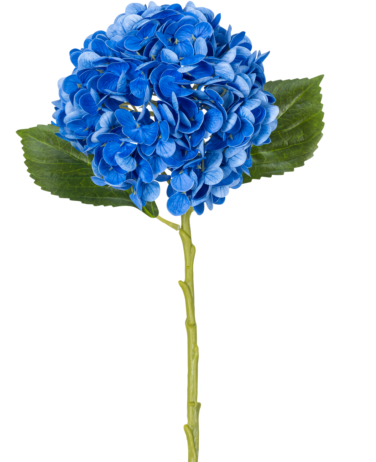 De Kunstbloem Charlotte hortensia Real Touch Blauw 49 cm is een enkele blauwe hortensia met groene bladeren en een lange steel, afgebeeld tegen een witte achtergrond.