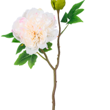 Een enkele steel van Kunstbloem Pioen 50 cm wit heeft een grote, witte pioenroos bloem in volle bloei, een gesloten knop en groene bladeren tegen een effen witte achtergrond.