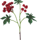 Het Kunsttak Ricinus 43 cm wijnrood heeft een tak van een ricinusolieplant met stekelige wijnrode zaaddozen en grote, groene, stervormige bladeren op een witte achtergrond.