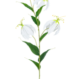 De Kunstbloem Gloriosa Real Touch Wit 75 cm heeft een enkele groene steel met drie open witte Gloriosa bloemen, twee knoppen, lange gele meeldraden en langwerpige groene bladeren tegen een effen witte achtergrond.