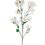 De Kunstbloem Bougainvillea 120 cm wit is een kunstbloemenstengel met meerdere bruine takken, groene bladeren en trossen witte bloemen met gele hartjes, afgebeeld tegen een witte achtergrond.