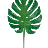 Het Kunstblad Monstera 88cm is een groot kunstgroen monsterablad met diepe splijten en perforaties, tegen een effen witte achtergrond.