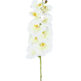 Een enkele staal van de Kunst Orchidee Real Touch Deluxe 105 cm wit/geel met meerdere bloemen en knoppen, prachtig weergegeven tegen een effen witte achtergrond.