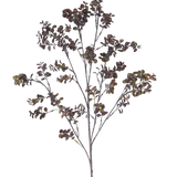 De Kunsttak Eucalyptus bes 110 cm bruin heeft een hoge tak met meerdere dunne stengels, kleine ronde bladeren en trosjes groenbruine bessen tegen een effen witte achtergrond.