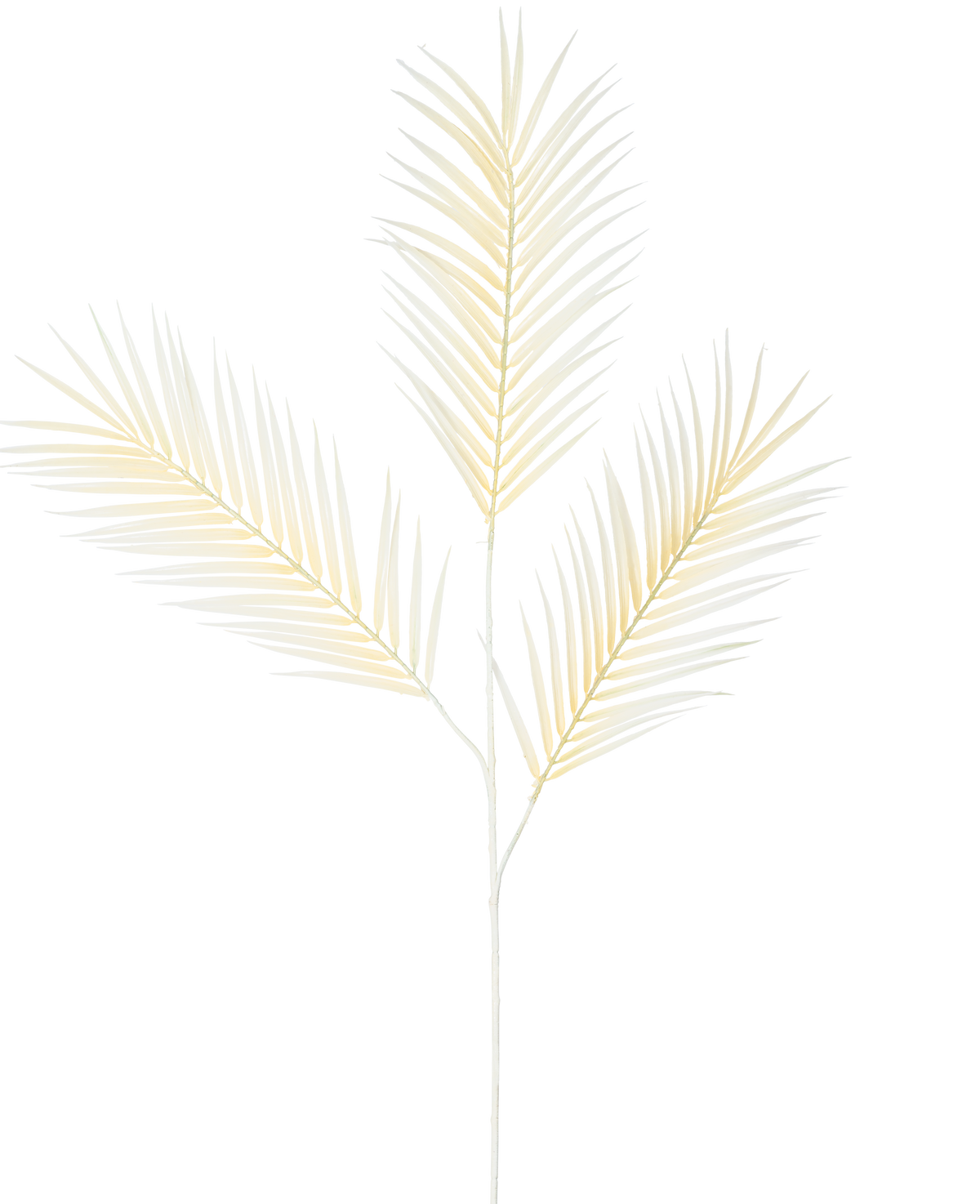 De Kunsttak Varen Groot 101 cm wit heeft een delicaat, lichtgeel palmblad met drie vertakte bladeren tegen een effen witte achtergrond.