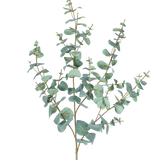 De Kunst Eucalyptus 120 cm heeft meerdere dunne stelen en ronde, blauwgroene bladeren tegen een effen witte achtergrond.
