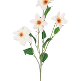 De Kunstclematis Real Touch Roze/crème 88cm heeft een enkele groene steel met vier bloeiende lichtroze bloemen met een zacht geeloranje hart en verschillende groene bladeren, allemaal geïsoleerd op een witte achtergrond.