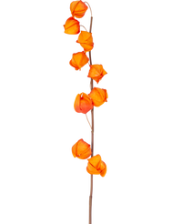 Fleur artificielle Physalis Lanterne 90 cm orange