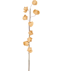 Fleur artificielle Physalis Lanterne 90 cm marron