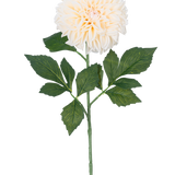 De Kunstbloem Dahlia Real Touch Beige 72 cm heeft een enkele beige dahlia met gelaagde bloemblaadjes en groene bladeren op een lange steel, geïsoleerd op een witte achtergrond.
