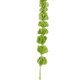 De Kunstbloem Klokjes uit Ierland 98 cm heeft een enkele rechtopstaande groene stengel met meerdere ronde groene bladeren of schutbladeren die gelijkmatig over de lengte verdeeld zijn, op een effen witte achtergrond.