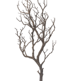 De Kunst decoratie tak 89 cm heeft een boom zonder bladeren met vele dunne, kronkelende takken tegen een effen witte achtergrond.