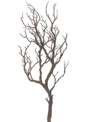 Branche de décoration d'art 89 cm