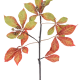 Een Kunsttak Kastanje 91 cm rood/groen tak met trossen rode en groene bladeren, sommige met bruine randen, samen met kleine bruine zaaddozen tegen een witte achtergrond.