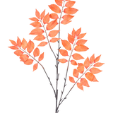 De Kunsttak Varen vertakt 83 cm oranje heeft drie trossen dunne, donkere stelen met talrijke oranjerode, ovale bladeren die symmetrisch in een open spreiding tegen een witte achtergrond staan.