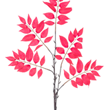 De Kunsttak Varen vertakt 83 cm rood heeft een aantal dunne stengels met clusters van levendige rode bladeren, allemaal symmetrisch gerangschikt op een witte achtergrond.