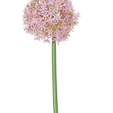 Een enkele hoge paarse stengel van de Kunstbloem Allium Groot 80 cm, met daarop een grote, ronde tros kleine stervormige bloemen, afgebeeld op een witte achtergrond.