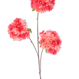 Op een enkele dunne bruine steel van de Kunsttak Kersenbloesem 85 cm koraal staan drie trossen levendige roze en koraal kersenbloesems met groene blaadjes, tegen een effen witte achtergrond.