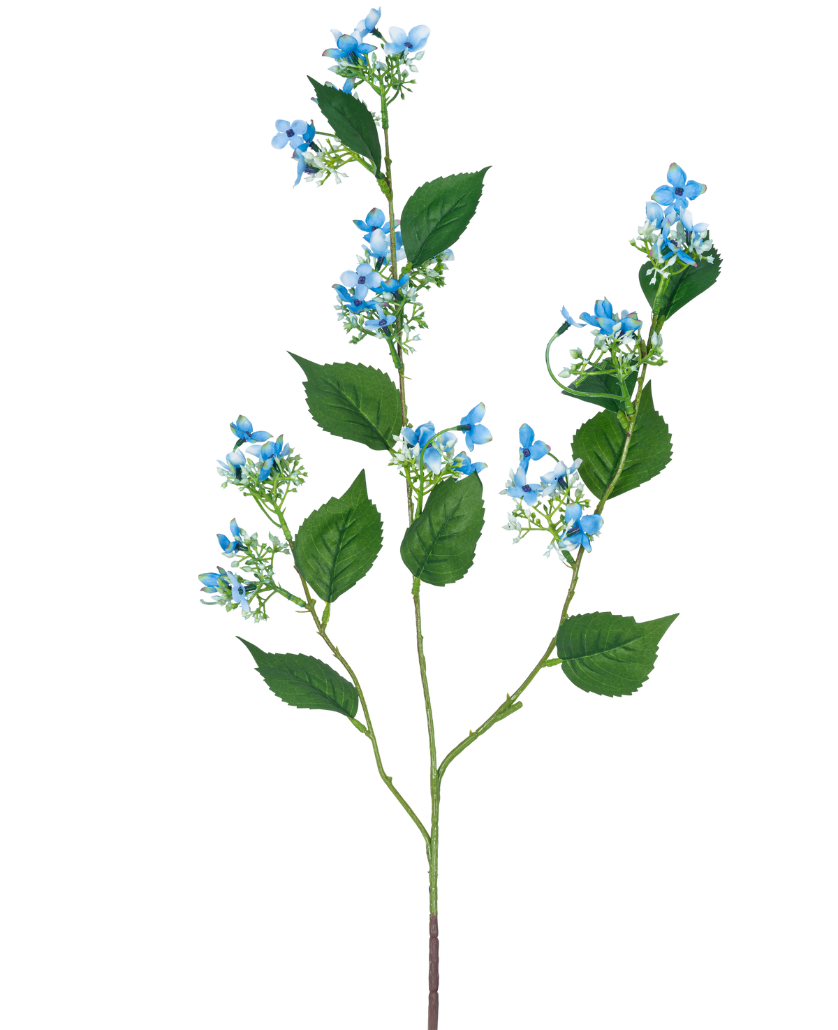 De Kunstbloem Wilde Hortensia 93 cm blauw heeft een enkele kunststengel met meerdere takken, groene bladeren en trosjes kleine, delicate lichtblauwe bloemen.